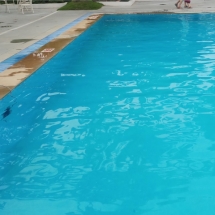 Water feature and Swimming Pool Consultants